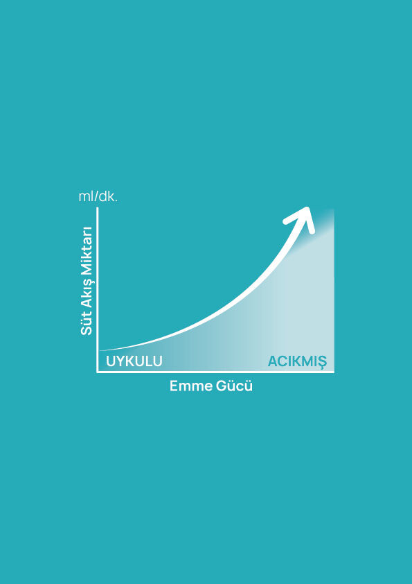 landing-detail-image